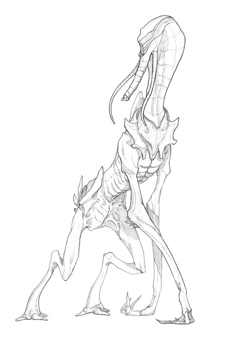 The Rek: Elder Race of non-humanoids